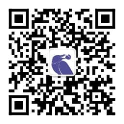 理想渡口微信公众号二维码